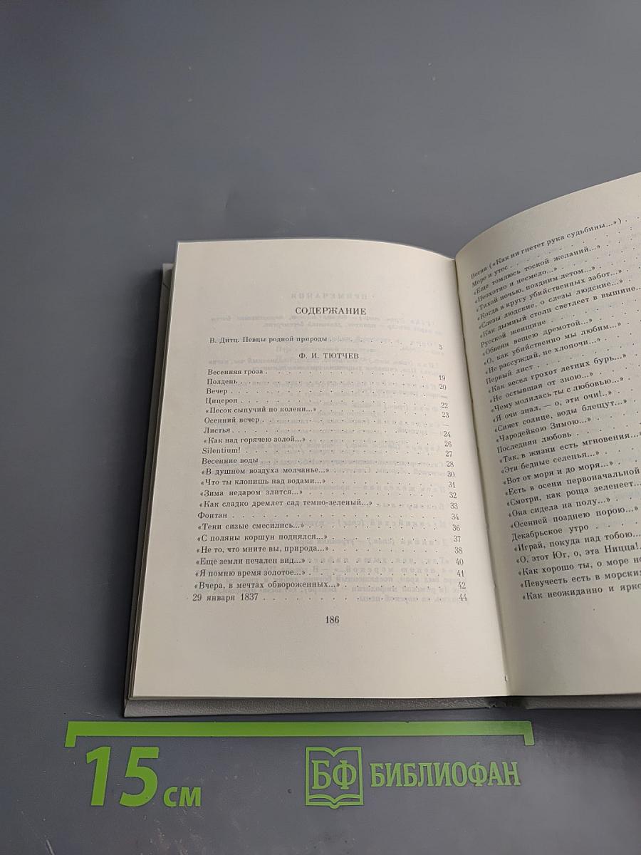 Ф.И. Тютчев, А.А. Фет. Стихотворения