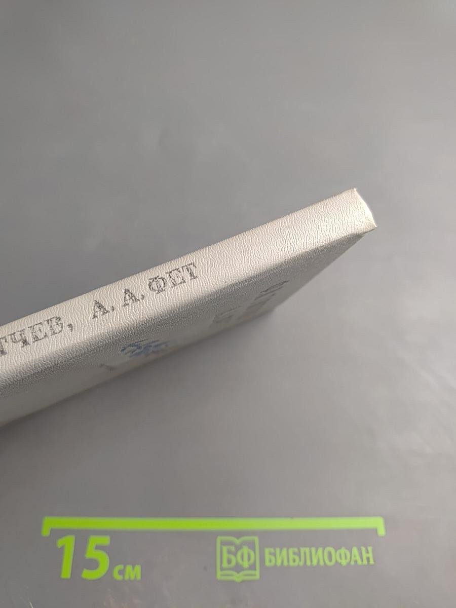 Ф.И. Тютчев, А.А. Фет. Стихотворения