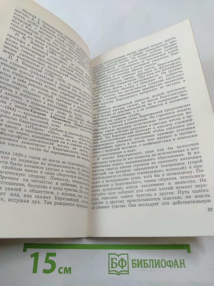 Русская поэзия XIX века