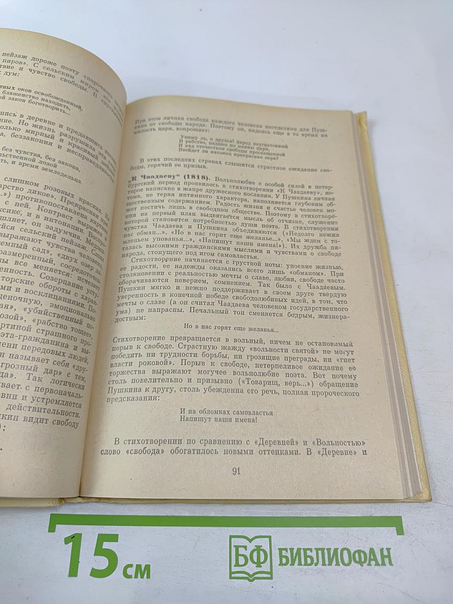 Русская литература для восьмого класса средней школы