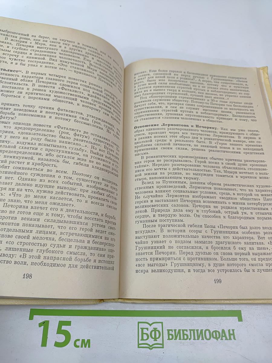 Русская литература для восьмого класса средней школы