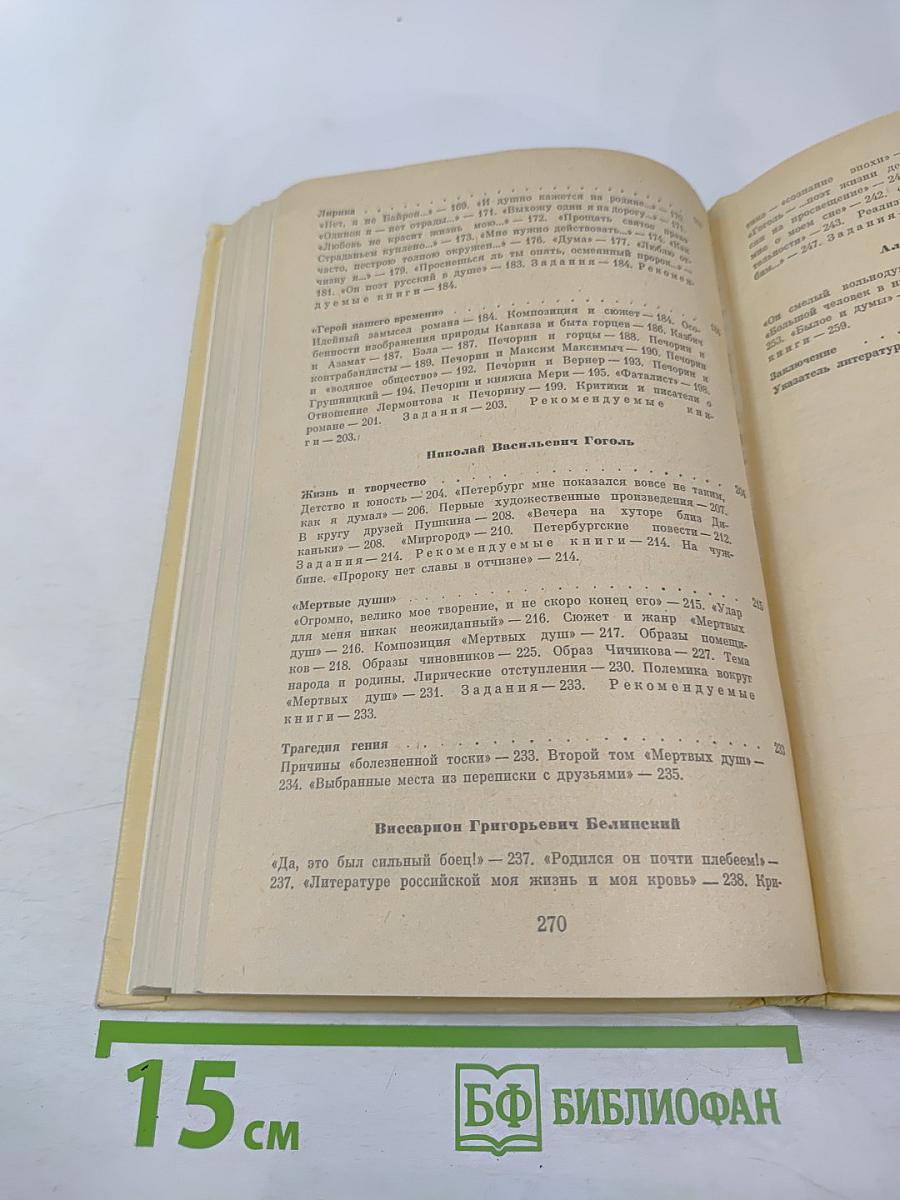 Русская литература для восьмого класса средней школы