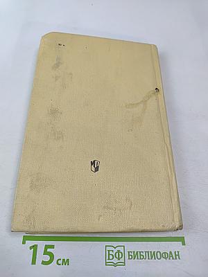 Русская литература для восьмого класса средней школы