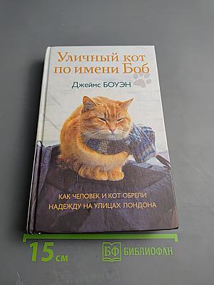 Уличный кот по имени Боб