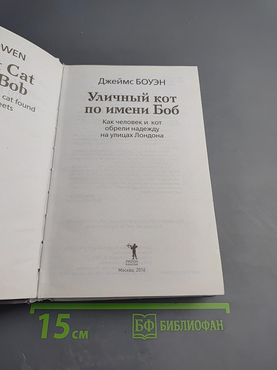 Уличный кот по имени Боб