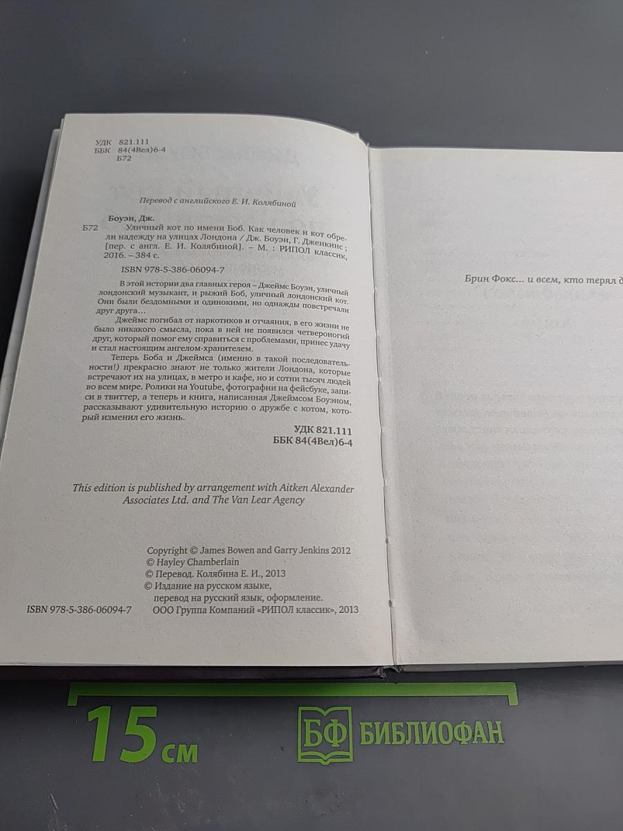 Уличный кот по имени Боб