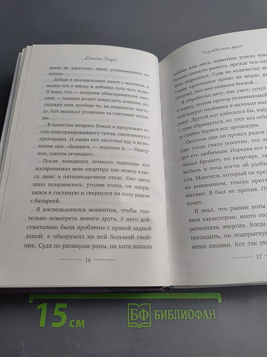 Уличный кот по имени Боб