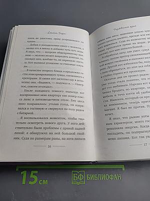 Уличный кот по имени Боб