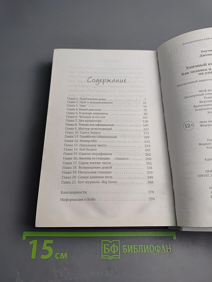 Уличный кот по имени Боб