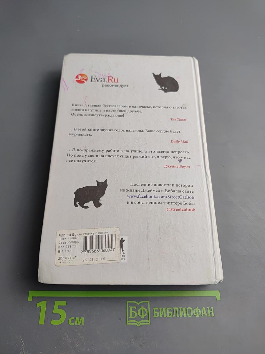 Уличный кот по имени Боб
