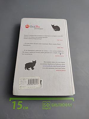 Уличный кот по имени Боб