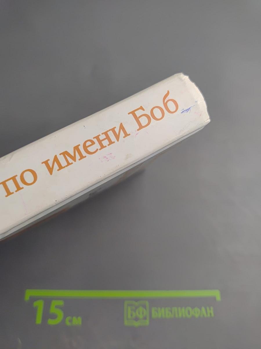 Уличный кот по имени Боб