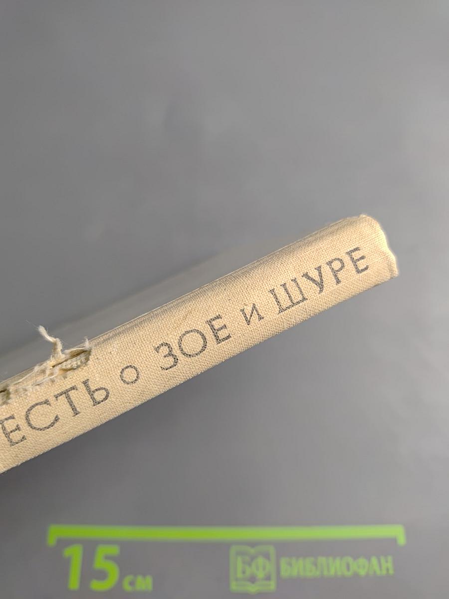 Повесть о Зое и Шуре