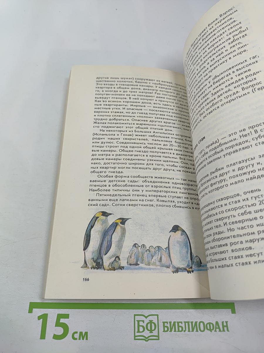 Невидимые нити природы