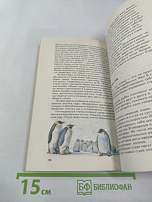 Невидимые нити природы