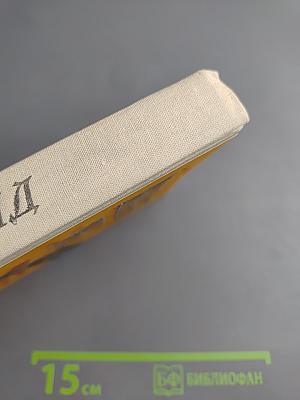 В дебрях Южной Африки