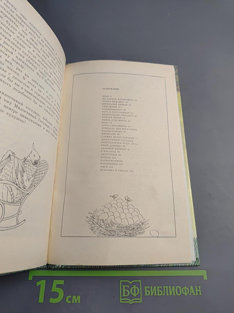 Мы, воробышки