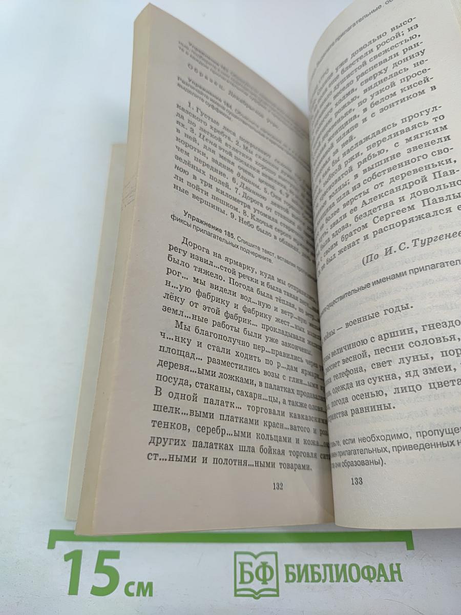 Русский язык. Орфография. Пунктуация