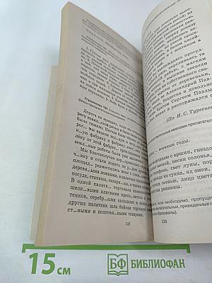 Русский язык. Орфография. Пунктуация