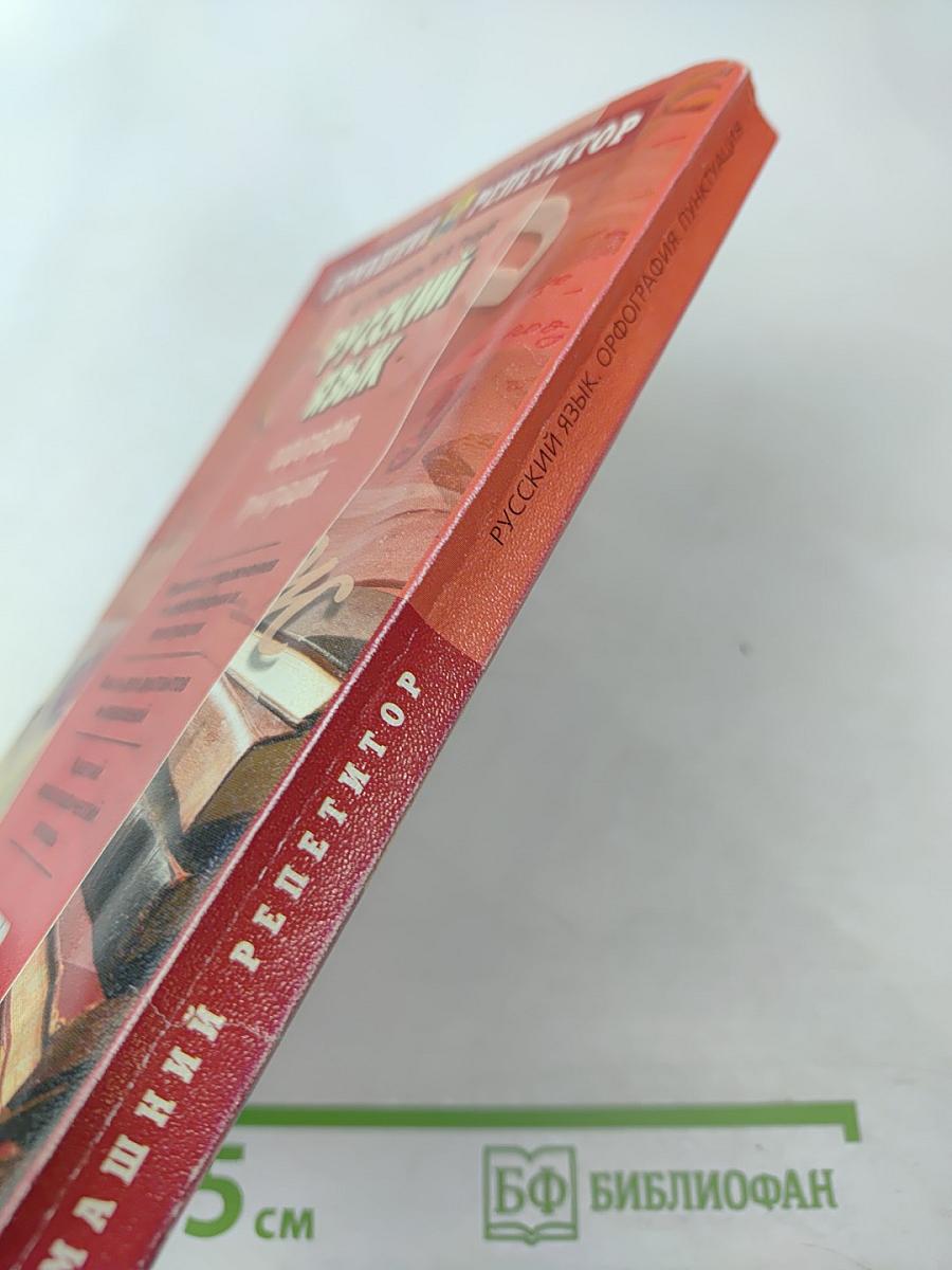 Русский язык. Орфография. Пунктуация