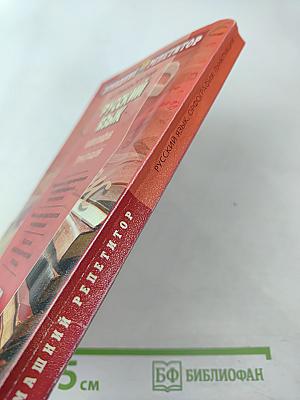 Русский язык. Орфография. Пунктуация