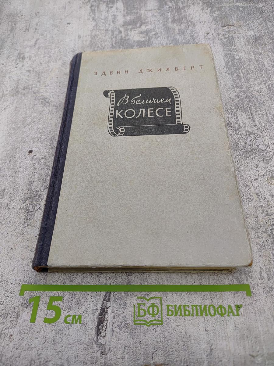 В беличьем колесе