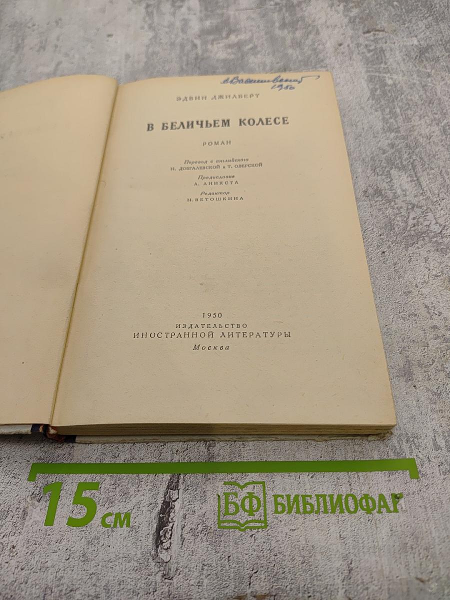 В беличьем колесе