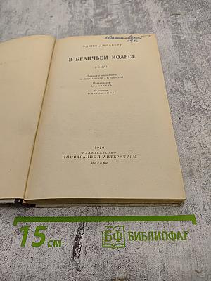 В беличьем колесе