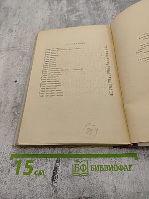 В беличьем колесе