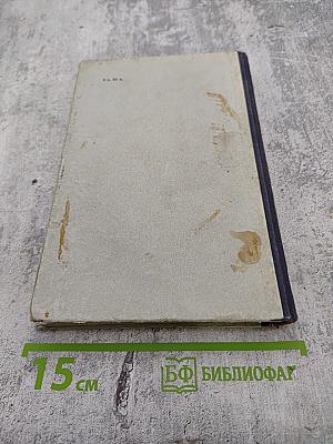 В беличьем колесе