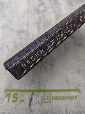 В беличьем колесе