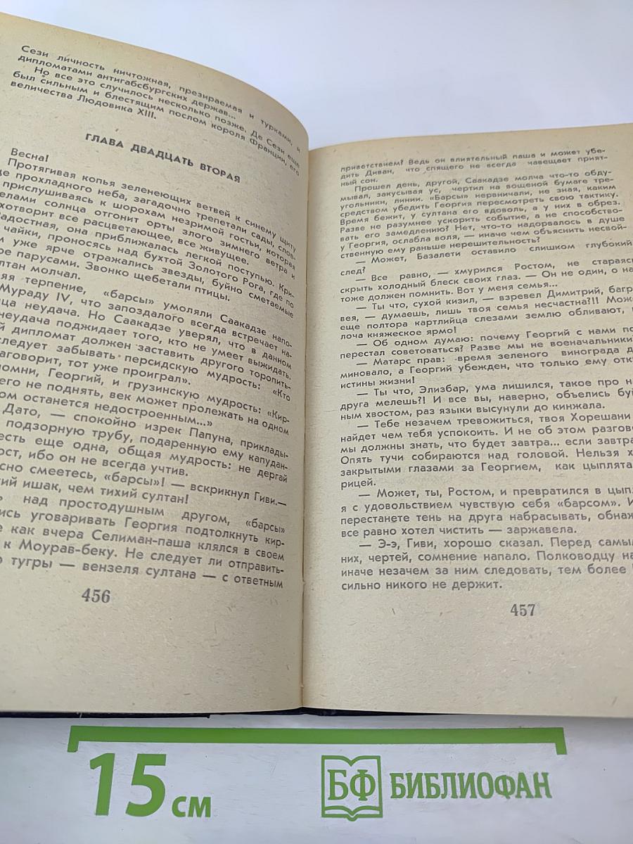 Великий Моурави. Книга шестая. Город мелодичных колокольчиков