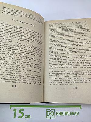 Великий Моурави. Книга шестая. Город мелодичных колокольчиков