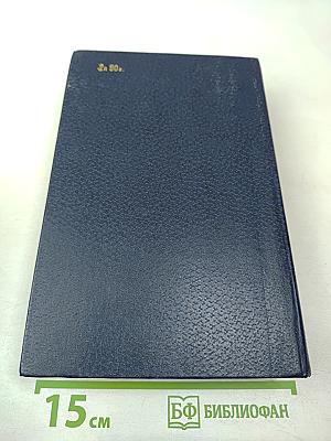 Великий Моурави. Книга шестая. Город мелодичных колокольчиков