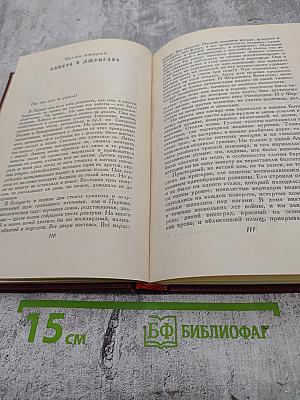 Собрание сочинений. Том 10: Очарованная душа. Книга четвертая: Смерть одного мира