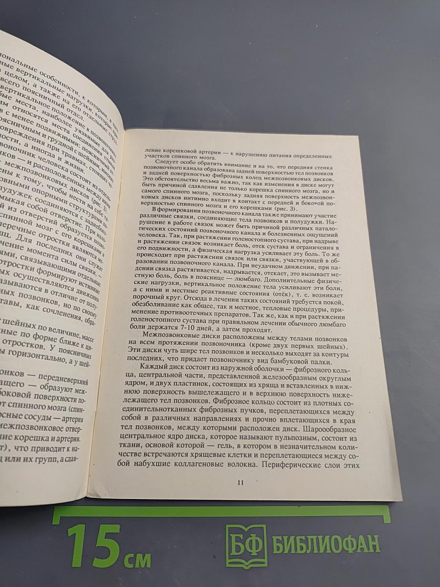 Ваша поясница