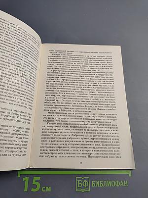 Ваша поясница