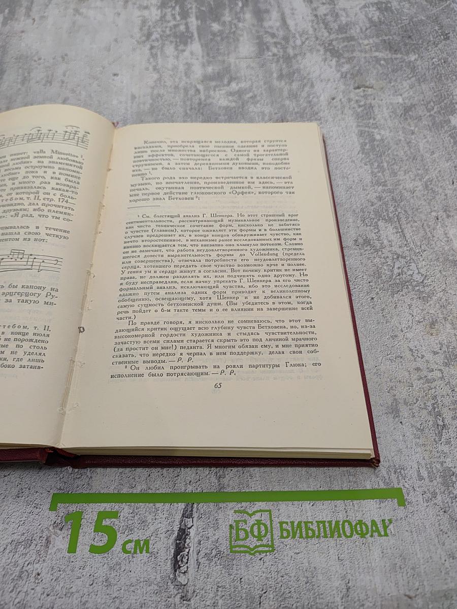 Собрание сочинений. Том двенадцатый: Бетховен. Великие творческие эпохи. Незавершенный собор