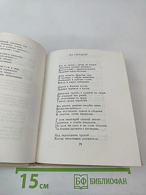 Полдень в пути