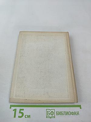 Полдень в пути