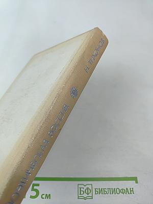 Полдень в пути