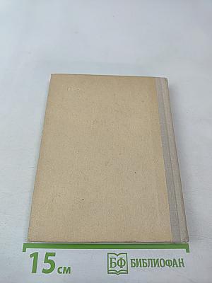 Чайковский в Петербурге