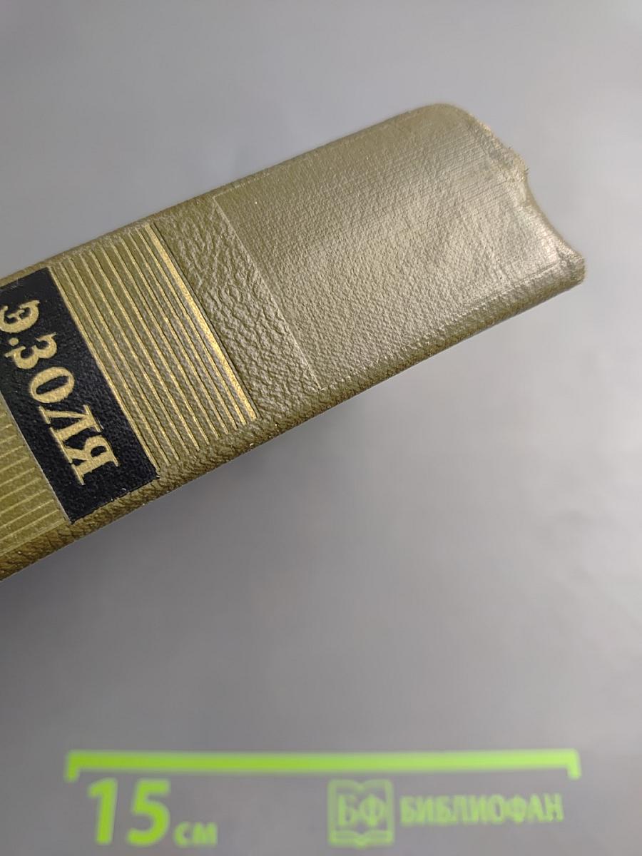 Истина (Четвероевангелие). Собрание сочинений. Том 22