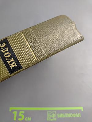 Истина (Четвероевангелие). Собрание сочинений. Том 22