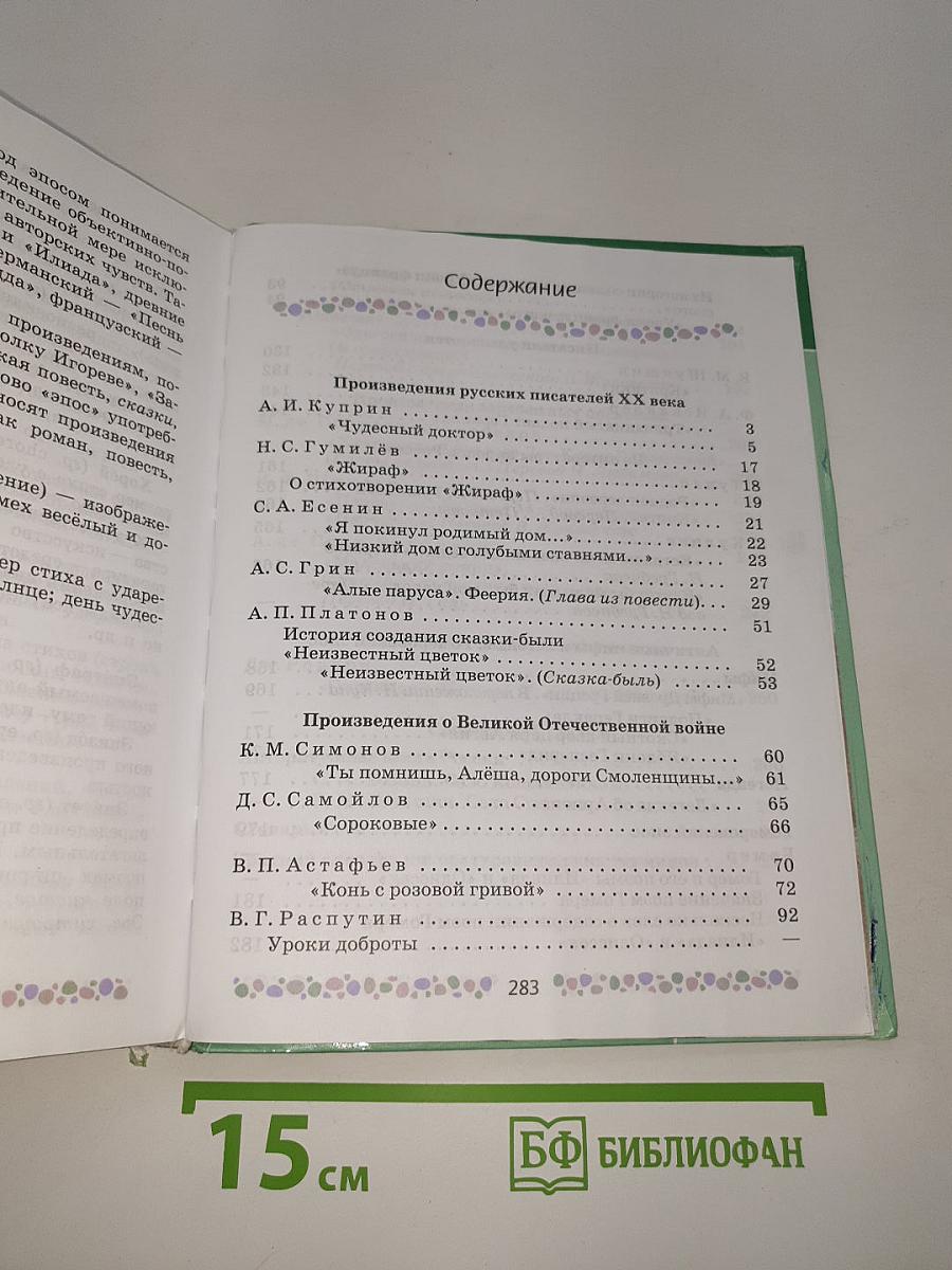 Литература. 6 класс. Часть 2