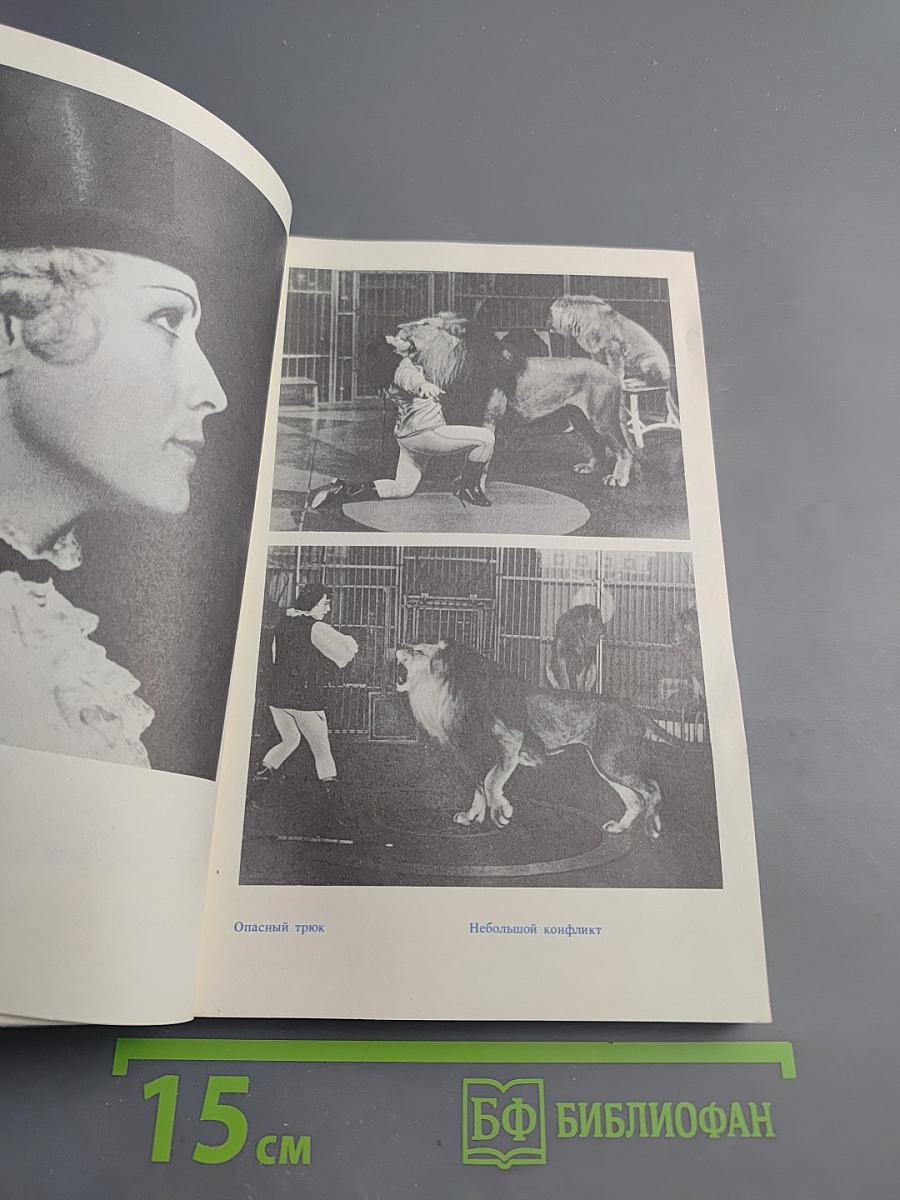 На арене и вокруг нее