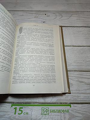Искушение Анжелики. Анжелика и демон. Книга 6