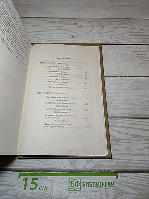 Искушение Анжелики. Анжелика и демон. Книга 6