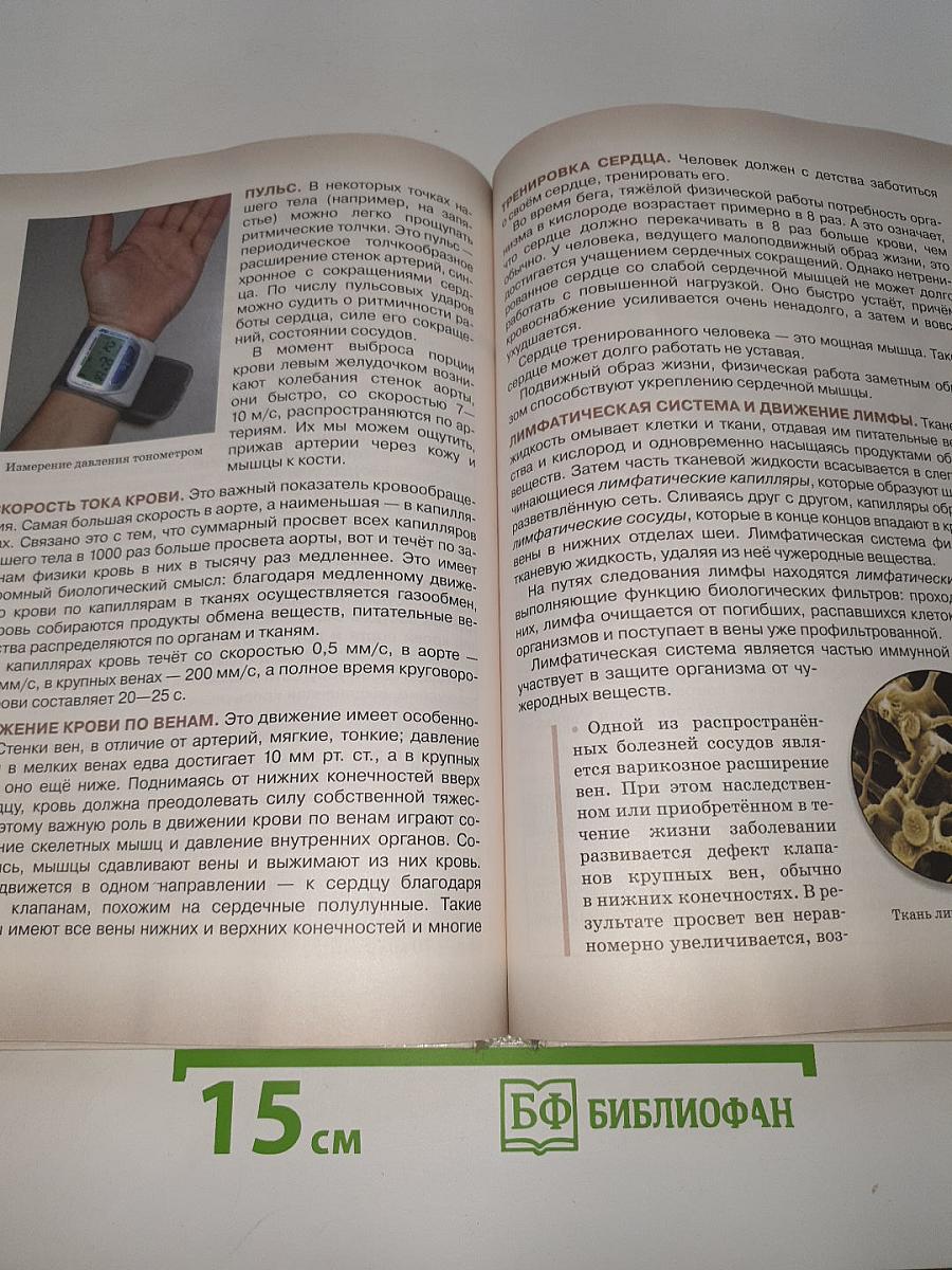 Биология. Человек