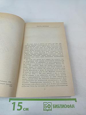 Штрихи к портрету